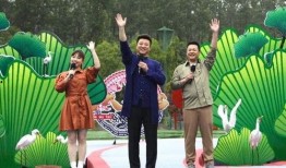 深圳小李爆料事件视频最新,事件真相与网络舆论交锋