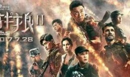 战狼2能在线观看吗,揭秘热门军事动作片的观看途径